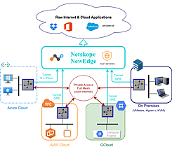 CSCs for Netskope with PriCPA