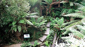 SANDPIT FOREST RESERVE