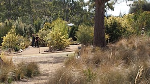 TASMANIAN BUSHLAND GARDEN