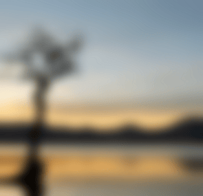 Latitude: -33.566314Longitude: 115.55505