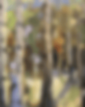 AUSTRALIAN&nbsp;LANDSCAPE - PAINTING