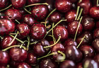 The Hungry Caterpillar, Dipton