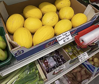 The Hungry Caterpillar, Dipton