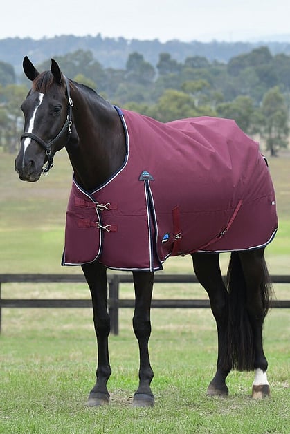 Spring and Autumn Horse Covers