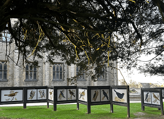Ushaw Historic House, Chapels and Gardens