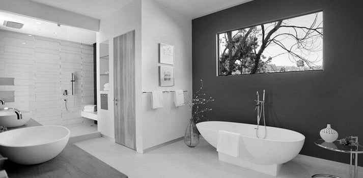 Counter top basin and Free Standing Bath