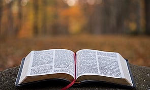 Read | Mark | Learn | Share