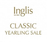 Lot 139 - Almanzorex Perfect OfferingColt-Click here