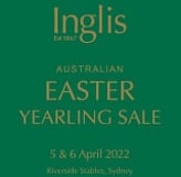 Lot 153 - Frostedex Enjoy ElsieColt-Click here