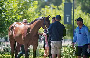 Inglis Easter Sale - 9 - 10 April 2019
