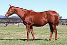 Lot 924 - VALLEY SWEETHEARTShow A Heartex HurlBroodmare-Click here