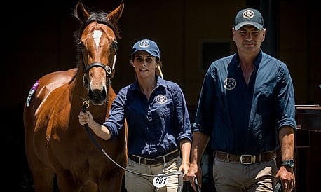 Sales Preparation & Consignment