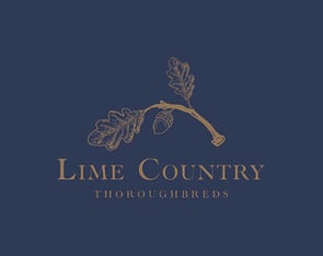 Lot 7 - Luna Dorada (IRE) (Golden Horn {GB} X Lunar Spirit {IRE})Broodmare-Click here-