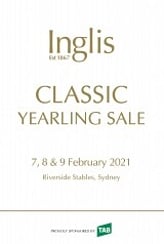 Lot 515 - Deep FieldCarlina colt-Click here