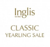 Lot 113 - So You Thinkex Niconni LeggeraFilly-Click here