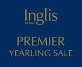 Lot 586 - Russian RevolutionDorabella filly-Click here