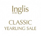 Lot 70 - Pride of Dubaiex Bint SnitzelColt-Click here