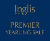 Lot 375 - Ocean ParkSuadela filly-Click here