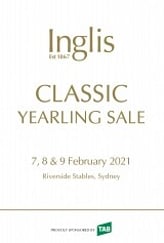 Lot 536 - DundeelClementine colt-Click here