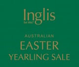 Lot 282 - Fastnet RockDragon's Tail colt-Click here