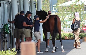 Inglis Classic Sale - 9 - 14 February 2019