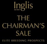 Lot 52 - SAVVANSavabeel ex Ruud Van Slats-Click here