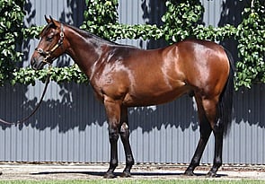 Lot 193 - Stay Inside x CovalentColt-Click here