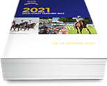 Lot 923 - So You ThinkUrban Royal colt-Click here