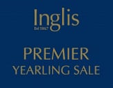 Lot 69 - PierroGunawati filly-Click here