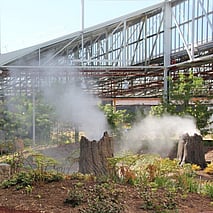 Landscape & Special Fog Effects Outdoors