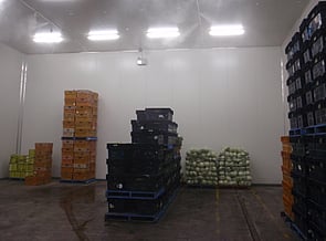 Cold Room Mist Cooling