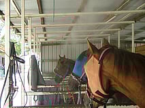 Animal and Livestock Cooling