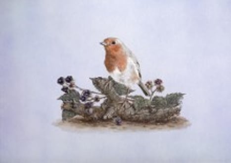 Wildlife artist, Northumberland