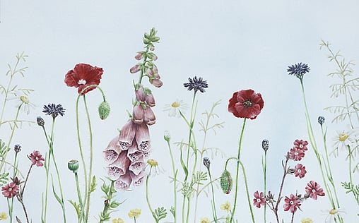 Flowers by Jane Harbottle Artist