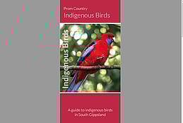 Click to download brochure - Prom Country indigenous birds brochure