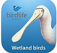 Birdlife Australia Wetland birds - Free