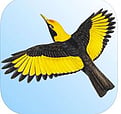 Morcombe and Stewart Birds of Australia - $29.99 full version