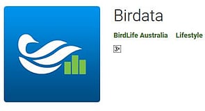 Birdata app on Google Play