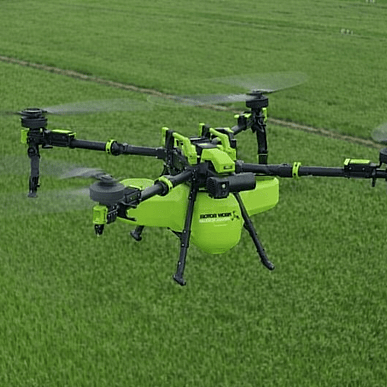 helicopter over forrest