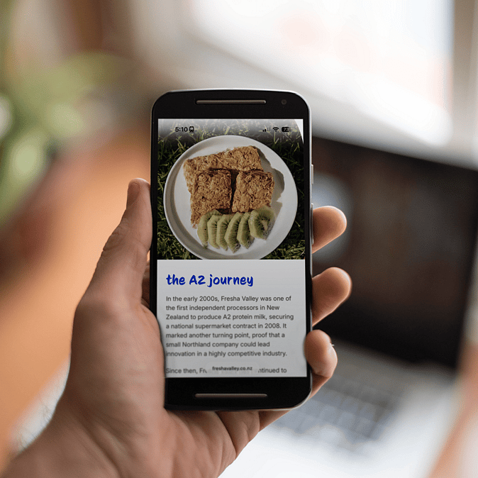 Web design and build Rocketspark