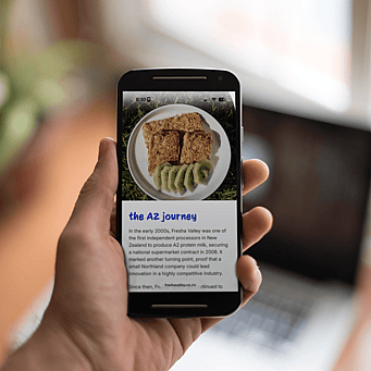 Web design and build Rocketspark