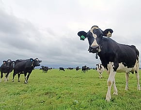 HubWatch &ndash; 23 January 2026