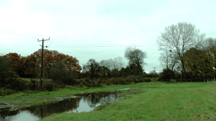 11kV poles and cables