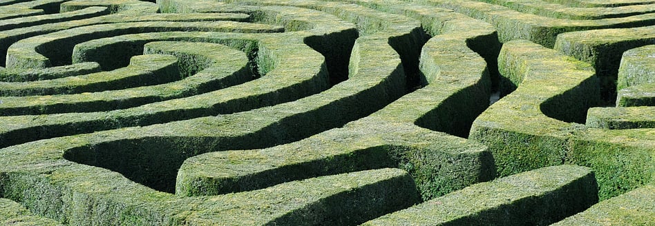 Together With The Client