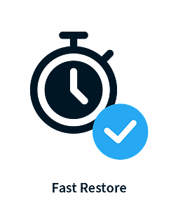 Fast Restore