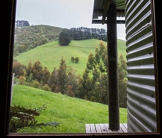 surrounding farmland and trees from the cottage
