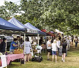 Yarragon Market Stalls
