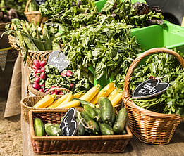 produce at Yarragon MArket