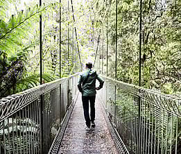 walking bridge