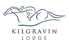 LOT 253 - Per Incanto &ndash; SavannaGeldingWITHDRAWN